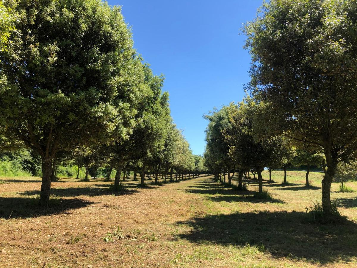 Chateau Des Loups - Les Pommiers Echire Dış mekan fotoğraf